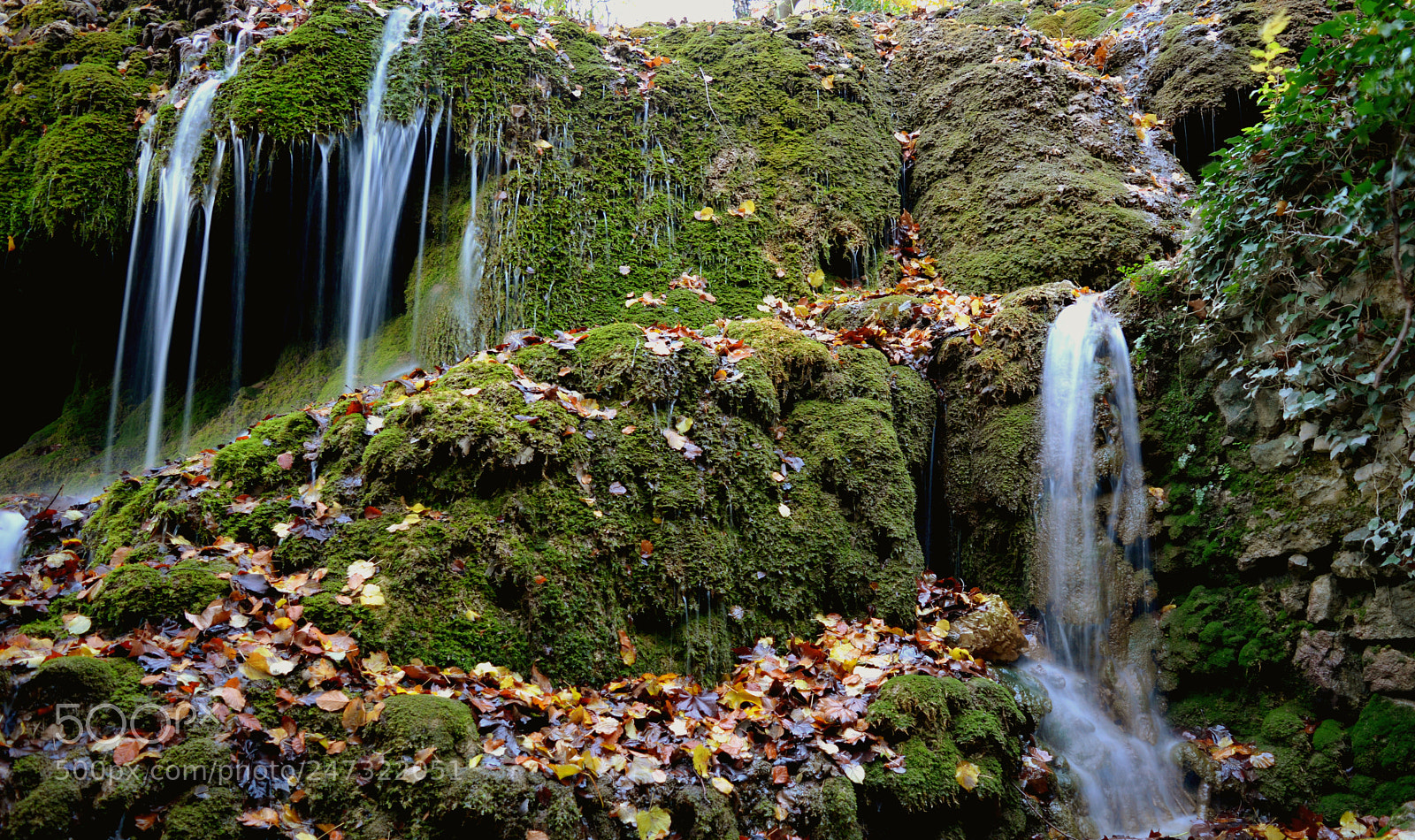 Nikon D5200 sample photo. St pons photography
