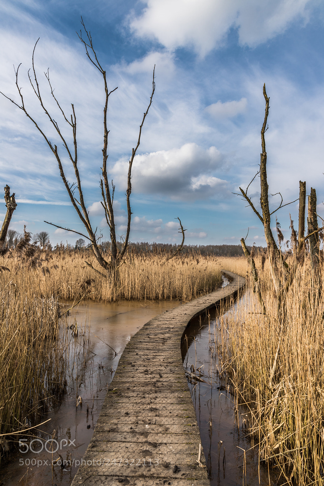 Canon EOS 6D Mark II sample photo. The path through the photography