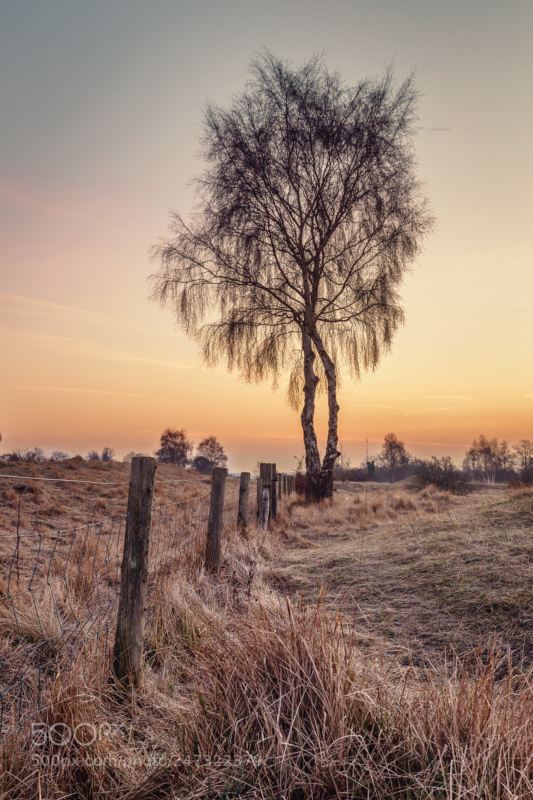 Sony a7 II sample photo. Fence line photography