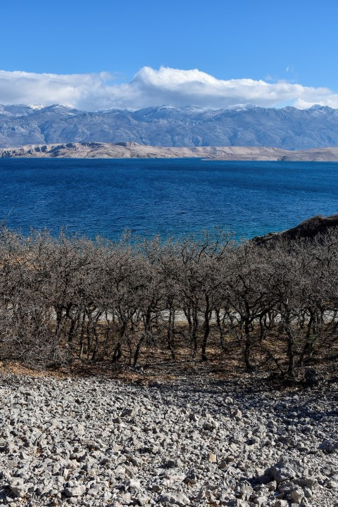 Nikon D7200 sample photo. Cold landscape photography