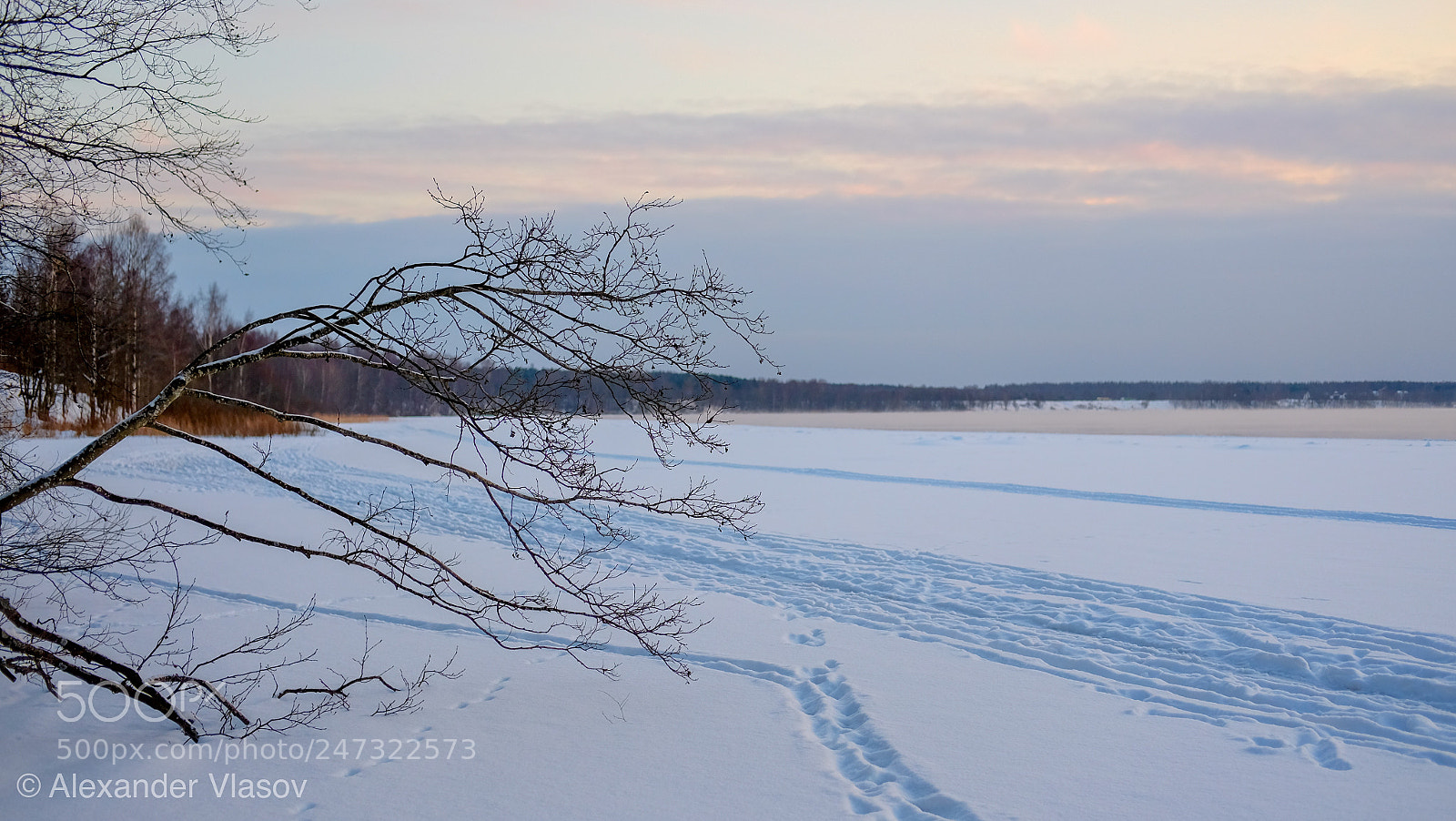 Fujifilm X-T10 sample photo. Февраль photography