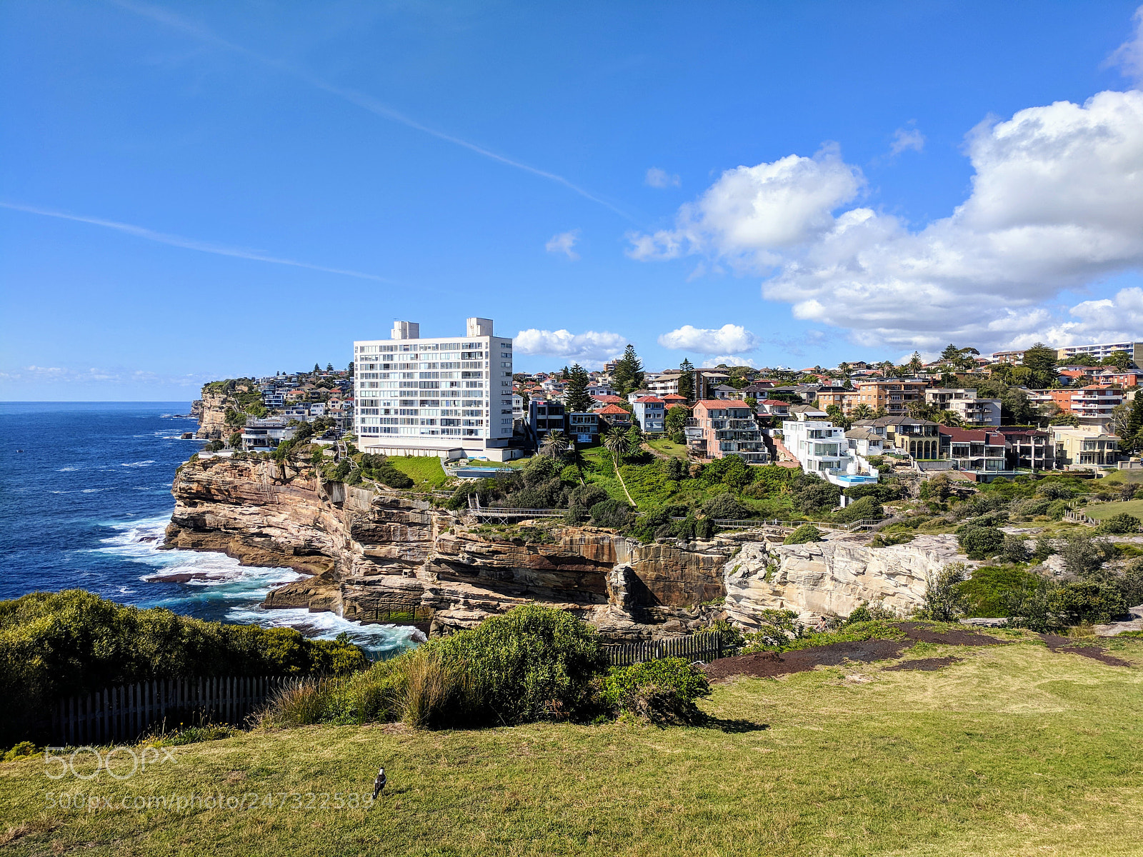 Google Pixel XL sample photo. Morning in sydney photography