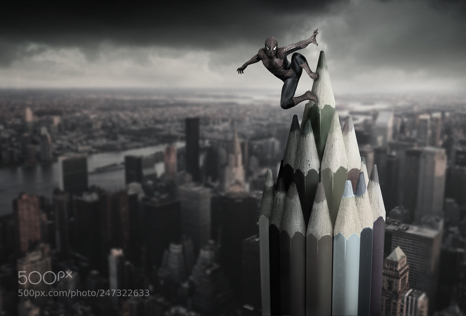 Nikon D3200 sample photo. Spider man photography