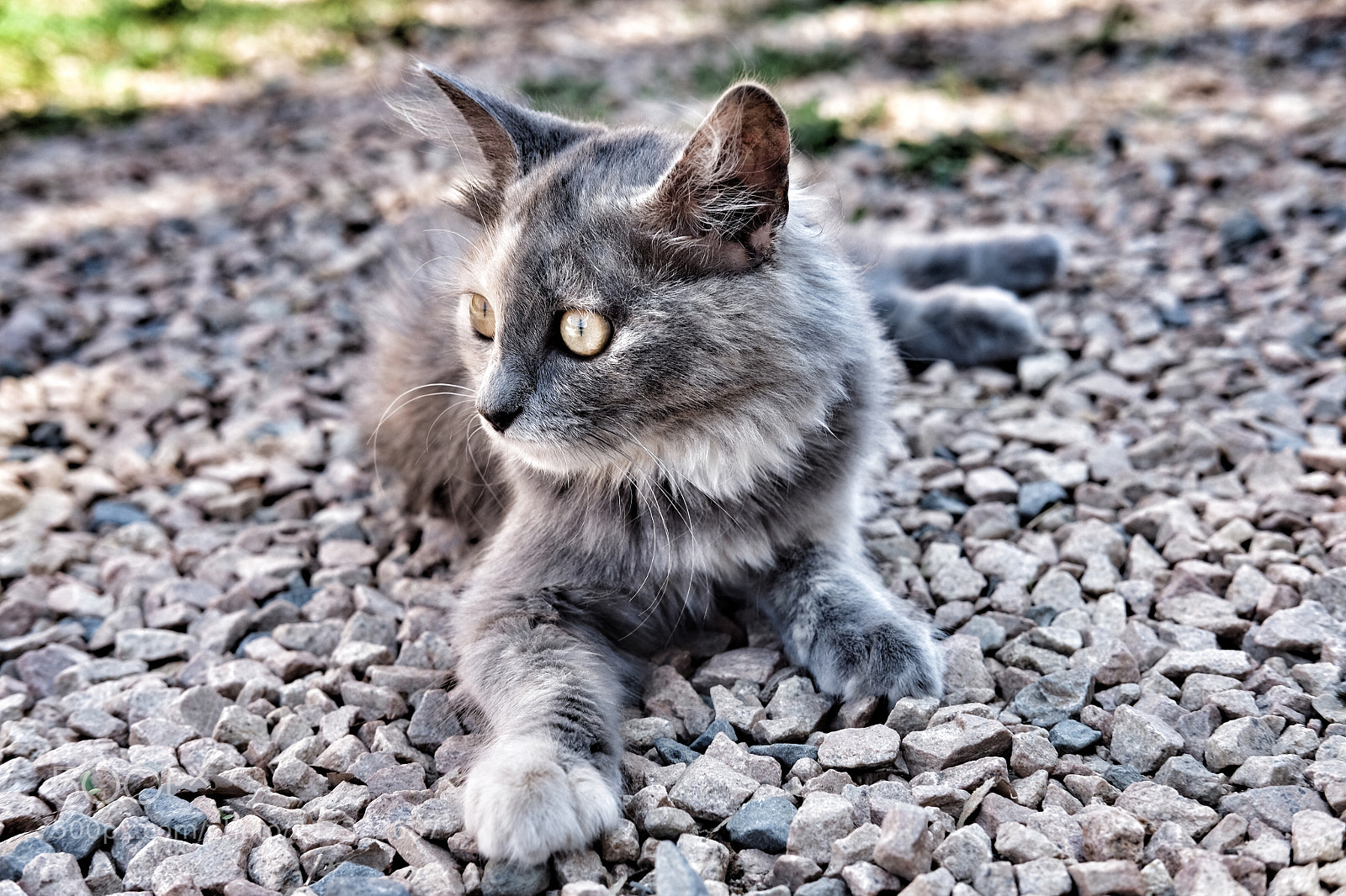 Fujifilm X-T10 sample photo. Untitled photography