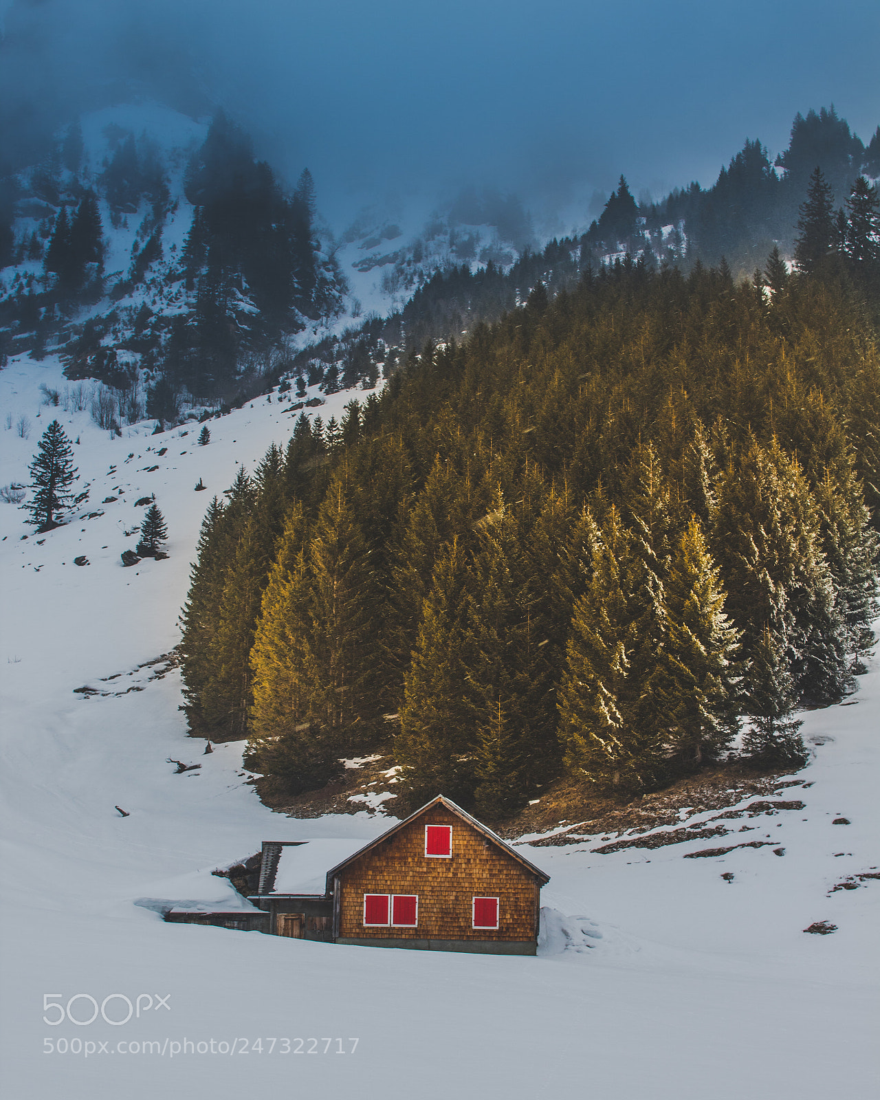 Canon EOS 1300D (EOS Rebel T6 / EOS Kiss X80) sample photo. Cabin in the swiss photography