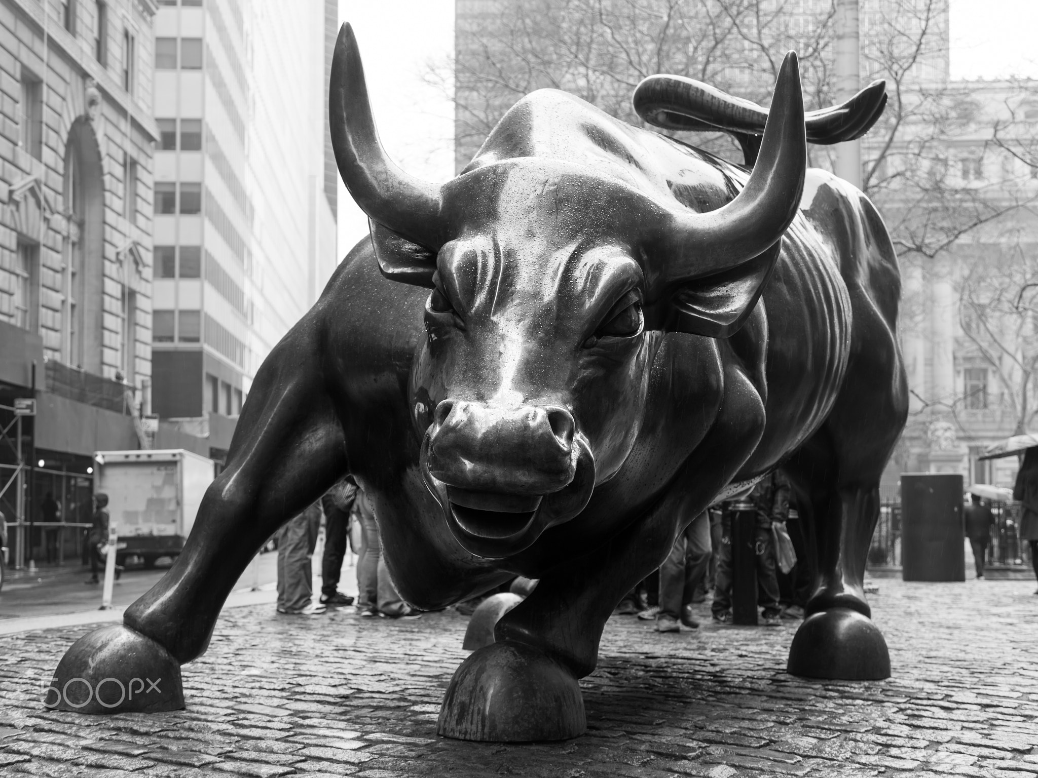 Charging Bull in Lower Manhattan, NY.