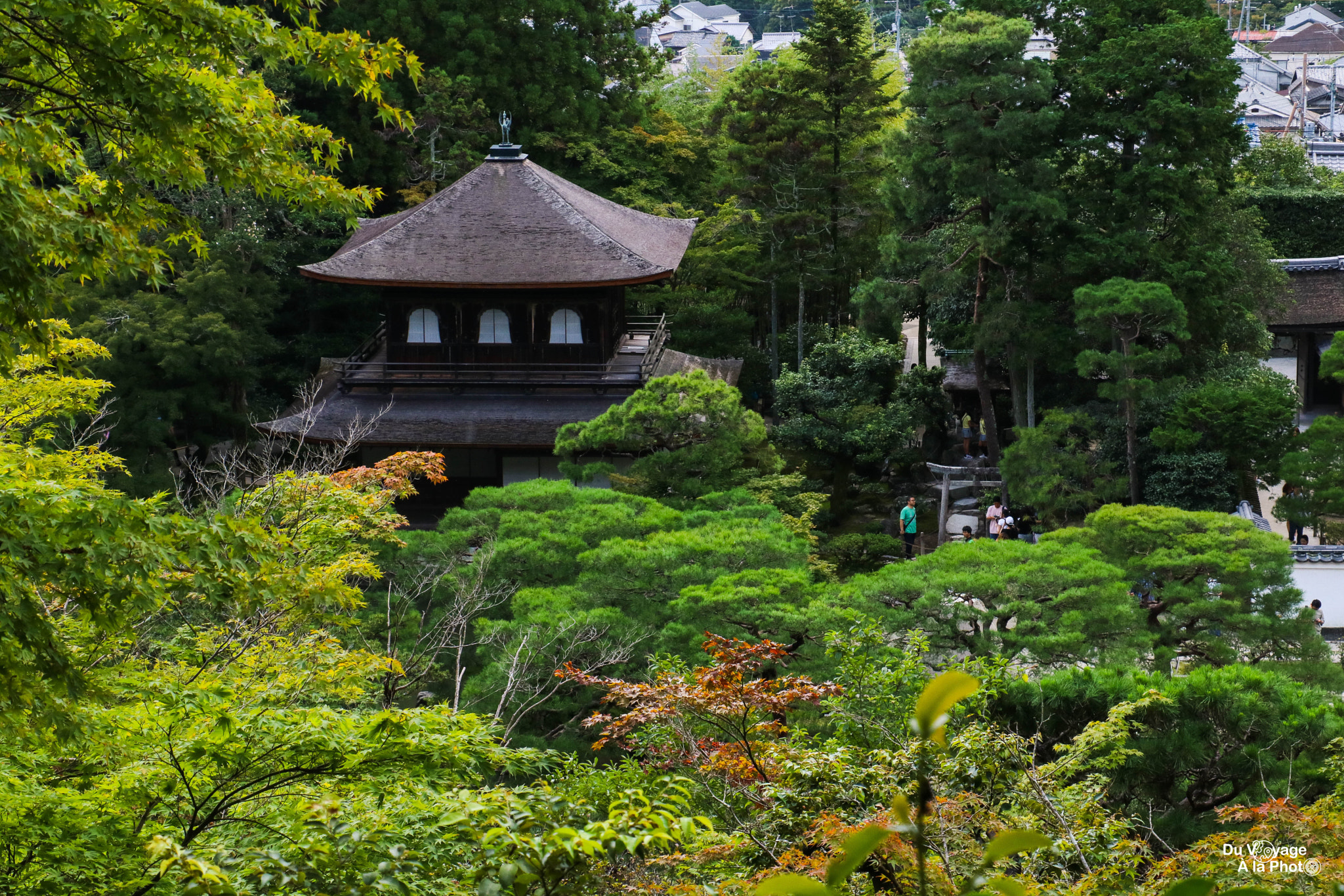 Canon EOS 760D (EOS Rebel T6s / EOS 8000D) sample photo. Summer ginkakuji from above photography