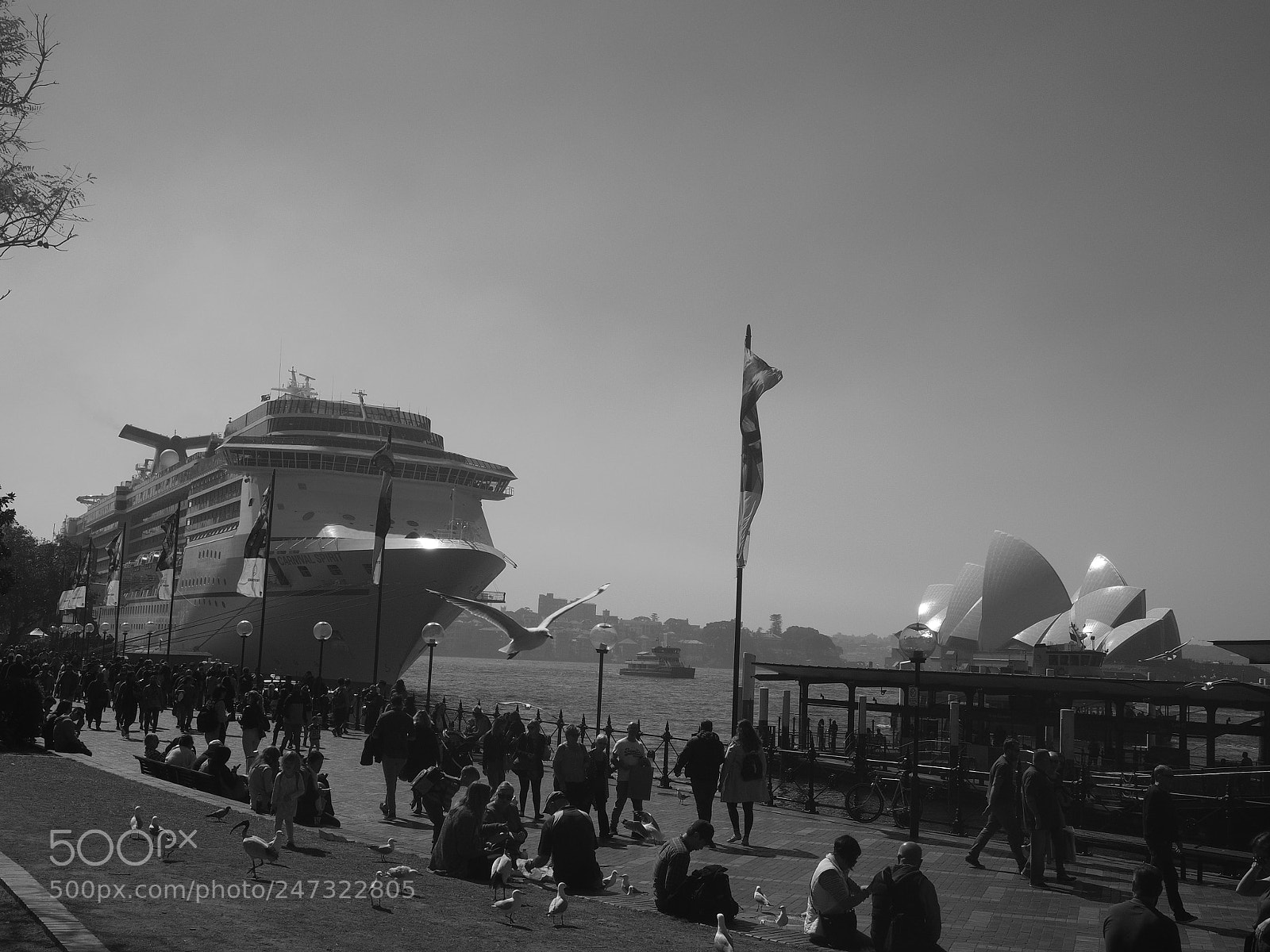 Olympus OM-D E-M10 II sample photo. Sydney harbour photography