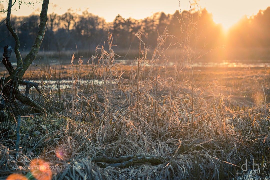 Canon EOS 80D sample photo. Bitter cold sunset photography