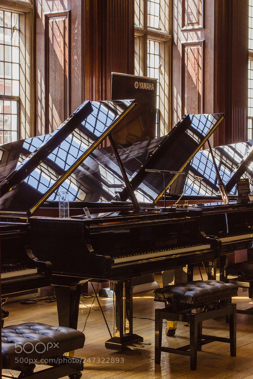 Canon EOS 550D (EOS Rebel T2i / EOS Kiss X4) sample photo. In the piano shop photography