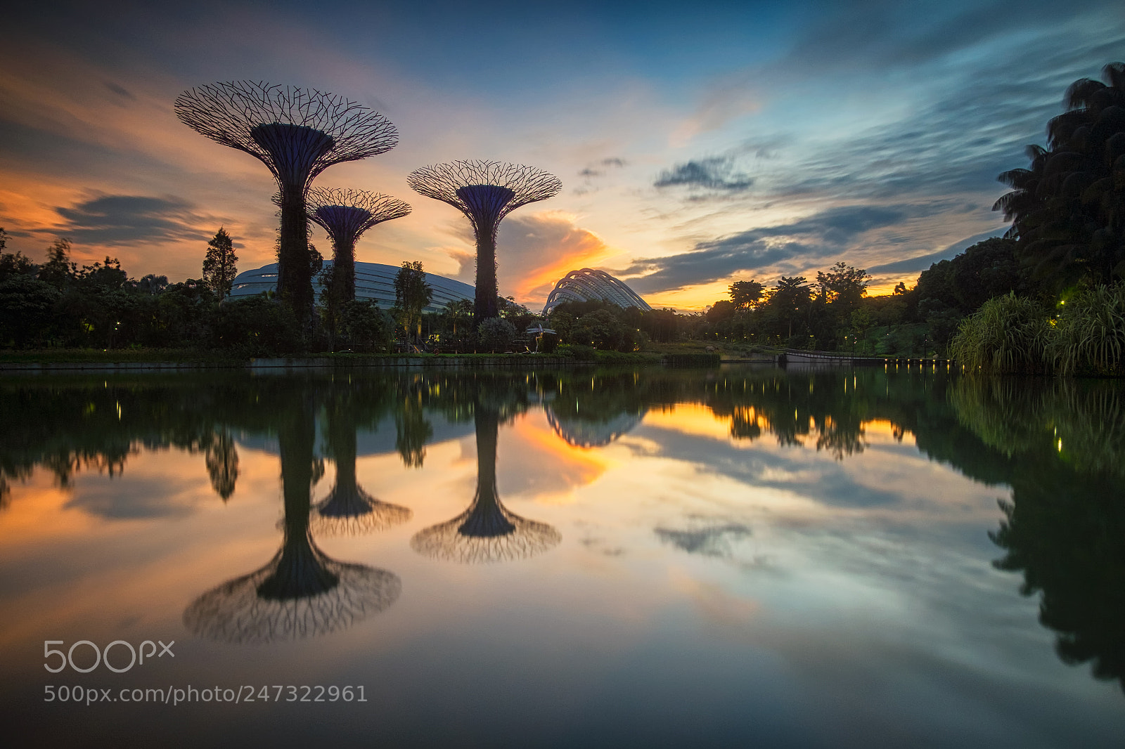 Fujifilm X-T10 sample photo. Dragonfly lake of gardens photography
