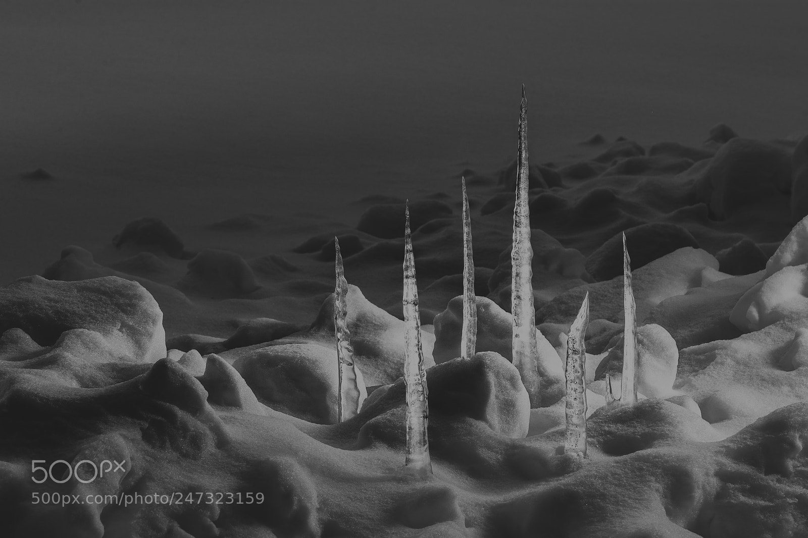 Nikon D7100 sample photo. Frozen city photography