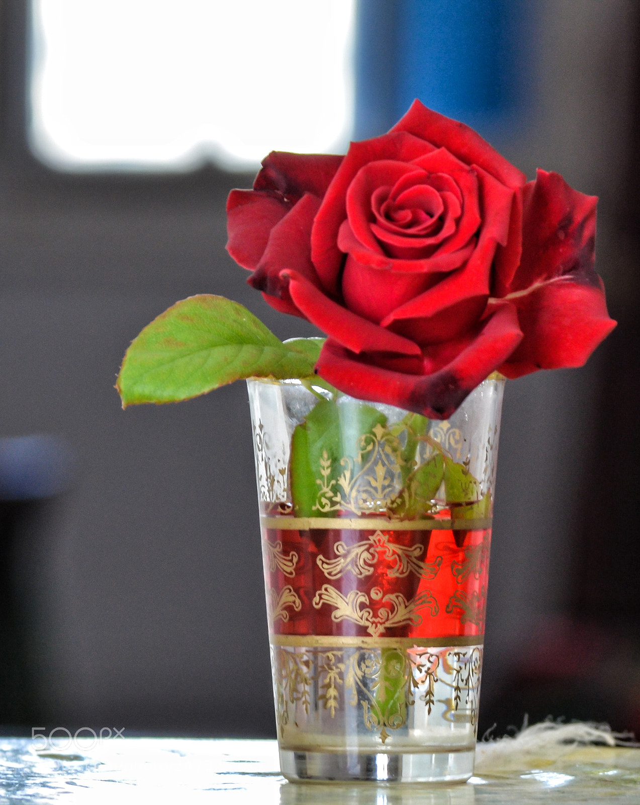 Nikon D5100 sample photo. Rose in a cup photography