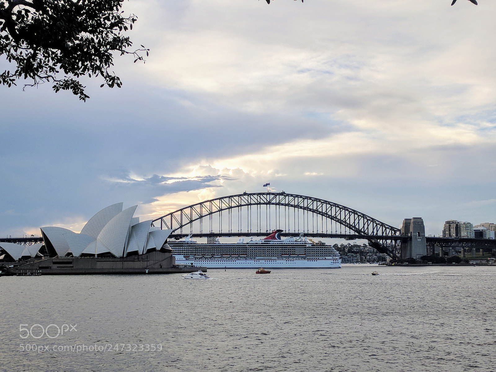 Google Pixel XL sample photo. Pleasant evening in sydney photography
