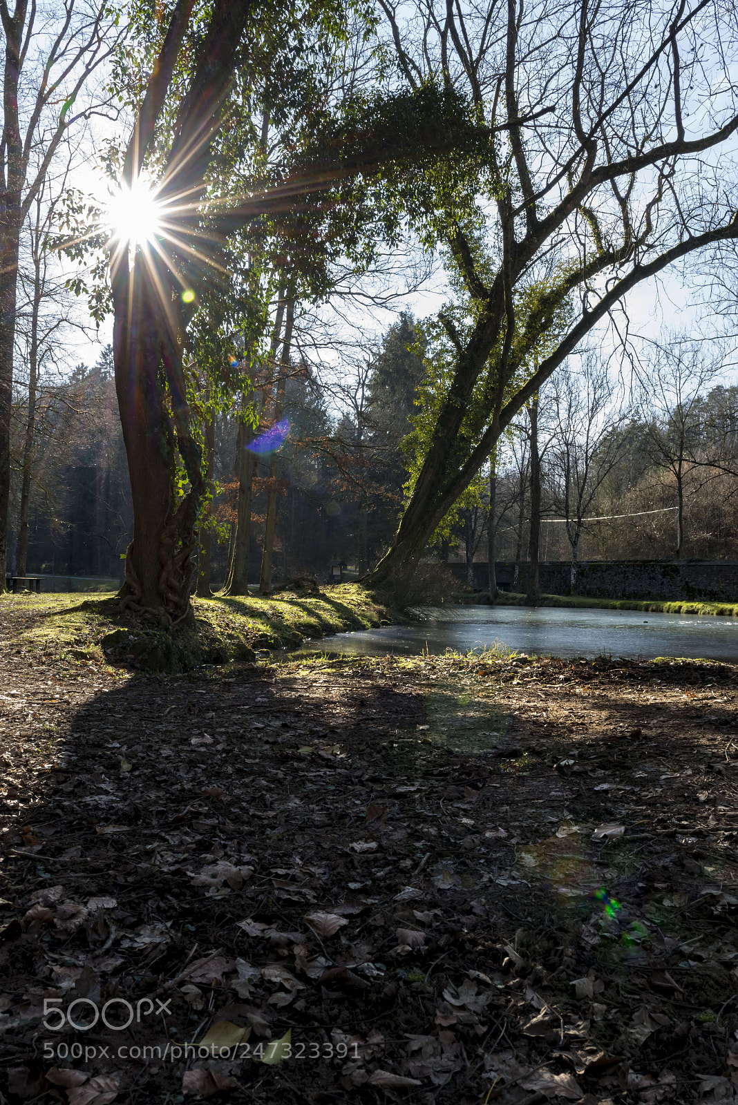 Nikon D800E sample photo. Parc castel saint pierre photography