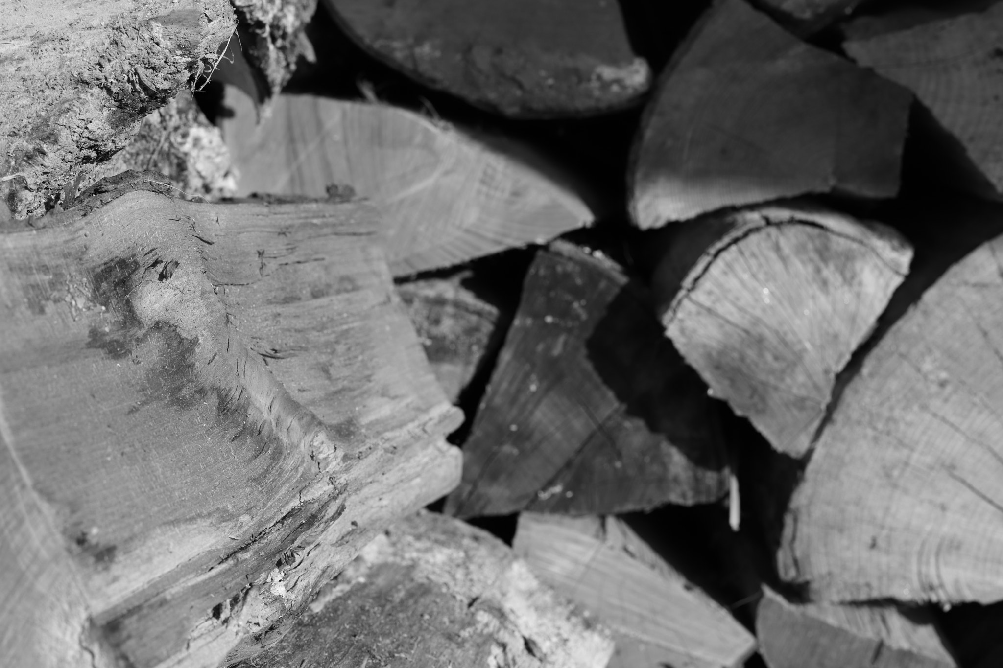 Canon EF 50mm F1.4 USM sample photo. Le sens du bois photography