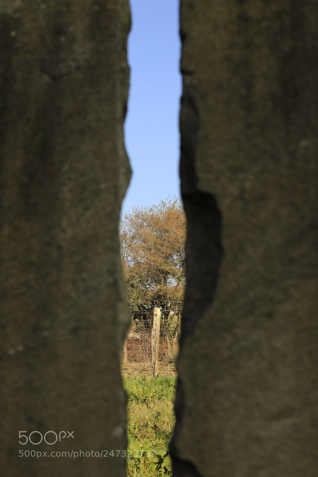 Canon EOS 6D Mark II sample photo. Derriére les lauses photography
