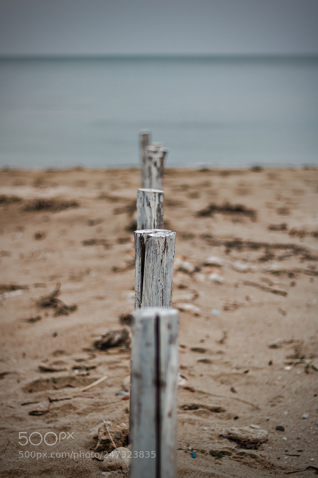 Canon EOS 750D (EOS Rebel T6i / EOS Kiss X8i) sample photo. Sticks on the sand photography
