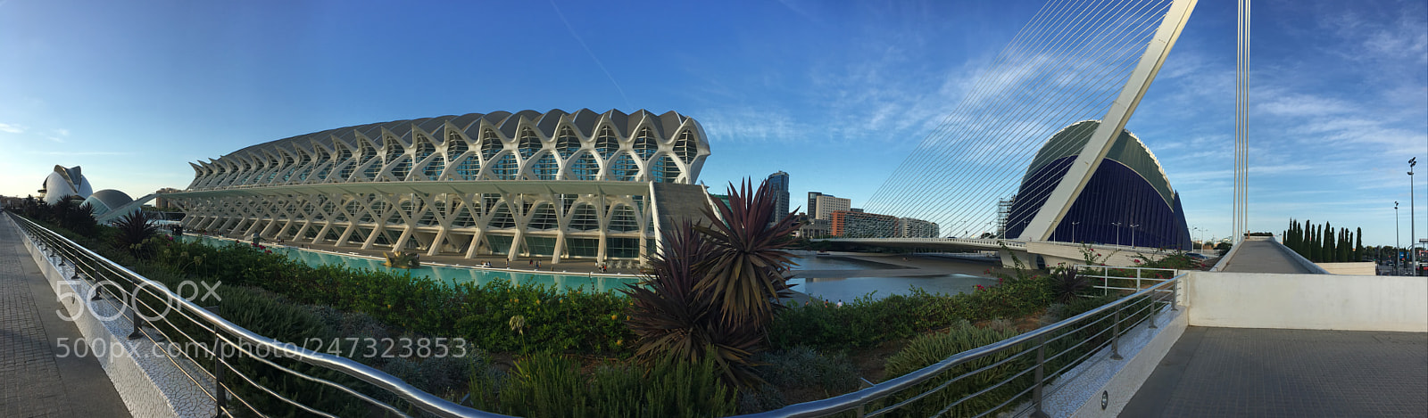 Apple iPhone 6s sample photo. #valencia #cityofscience #espana #europe photography