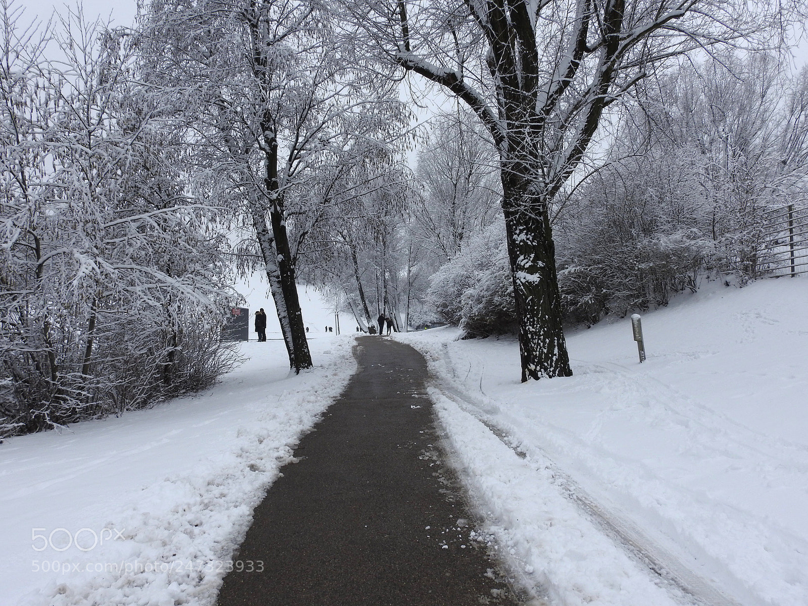 Nikon Coolpix P900 sample photo. Snowy street photography
