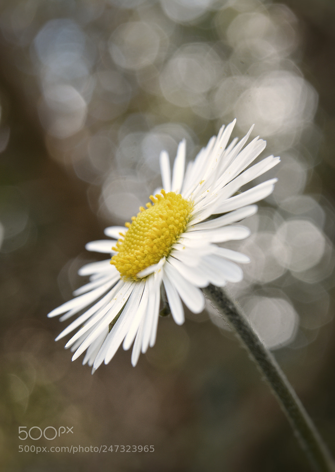 Nikon D7100 sample photo. Lights on! photography