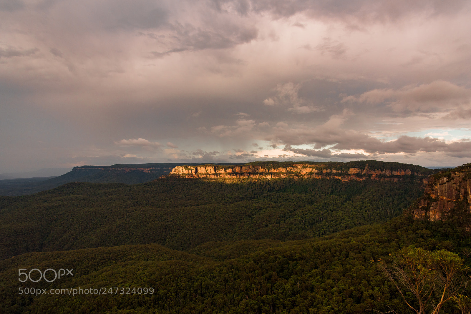 Nikon D810 sample photo. Blue mountains photography