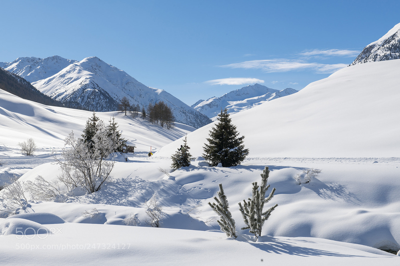 Nikon D850 sample photo. Winter walking in livigno photography
