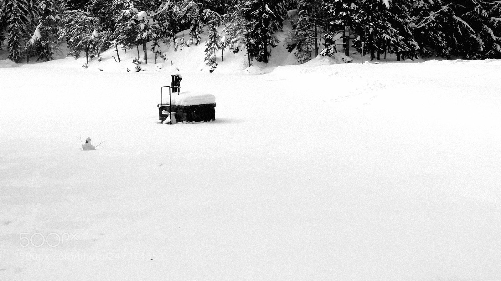 HUAWEI P9 LITE sample photo. Winter in monochrome photography