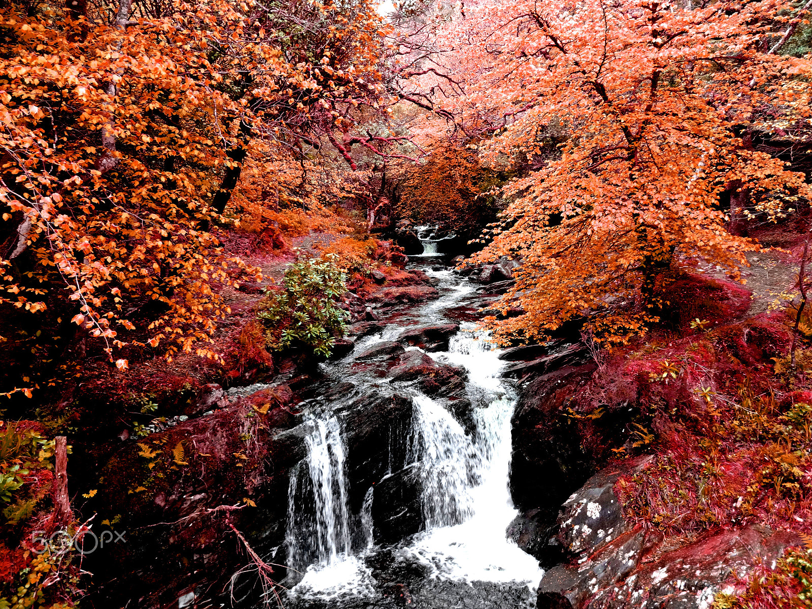 Sony DSC-WX200 sample photo. Ireland torc waterfall photography