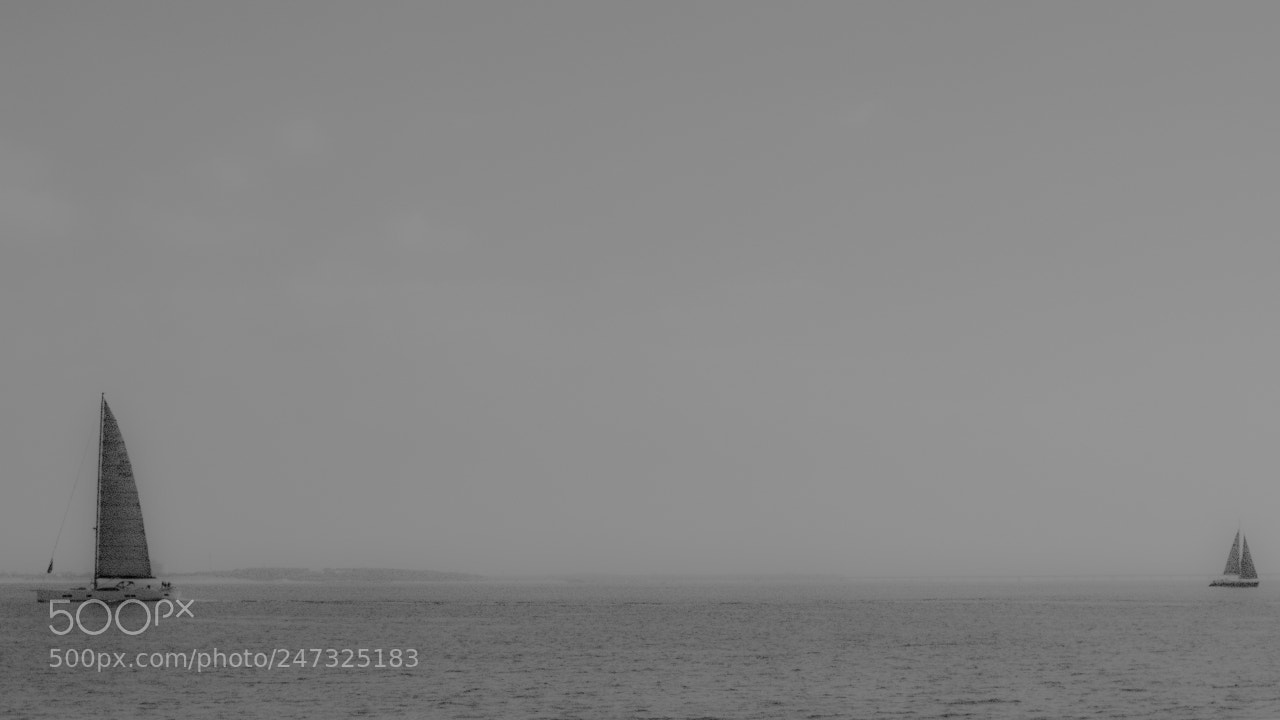 Fujifilm X-E2 sample photo. Canvas photography