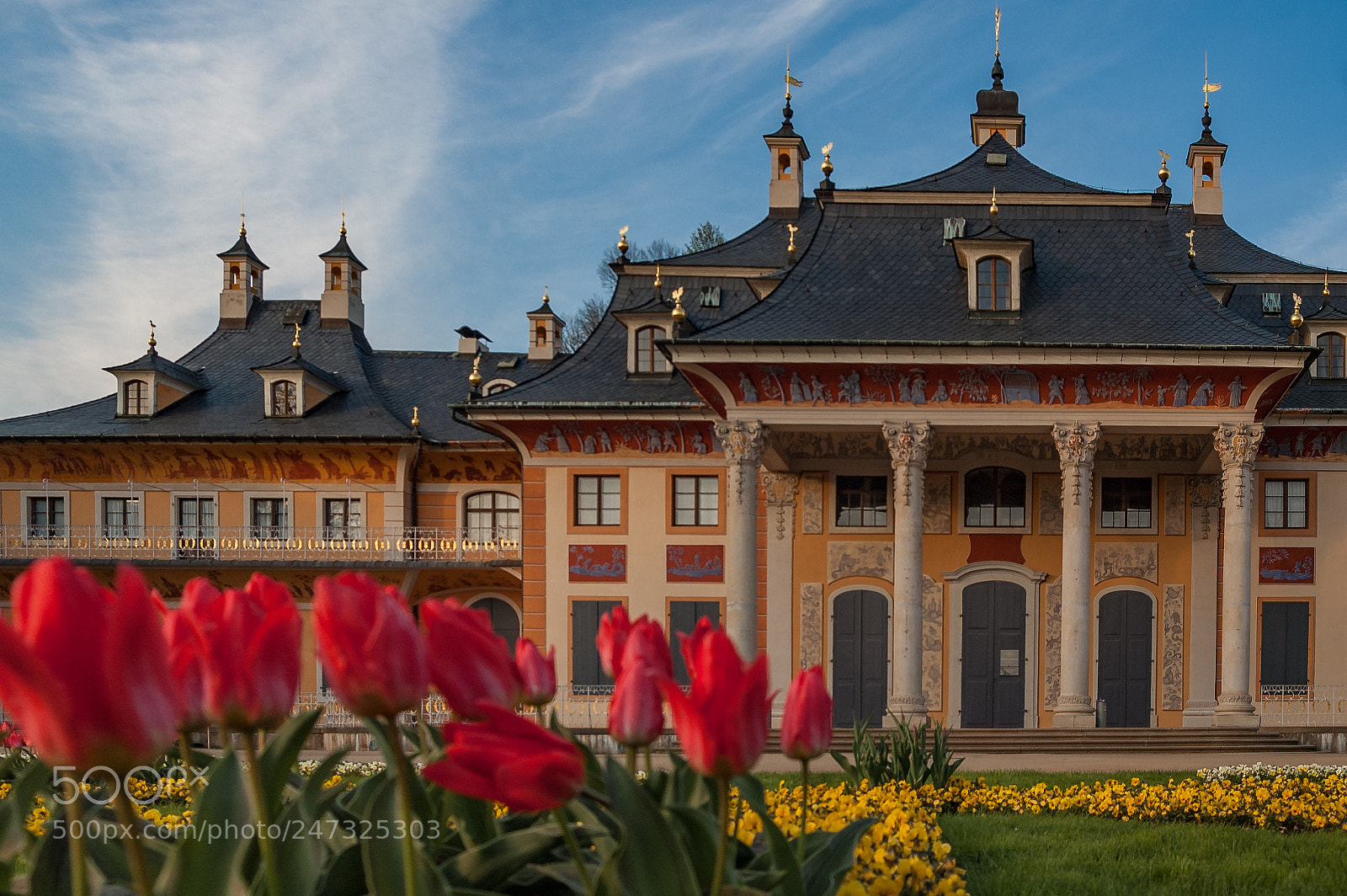 Nikon D70 sample photo. Schloss pillnitz photography