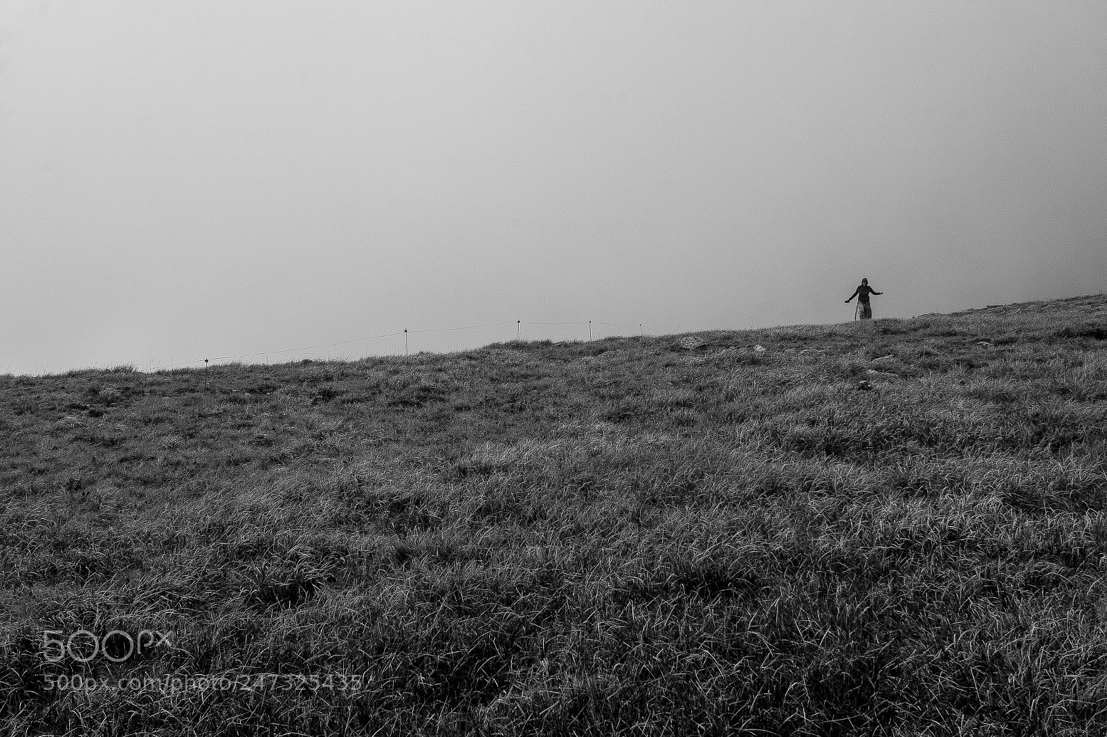 Canon EOS 60D sample photo. Campi nella nebbia photography