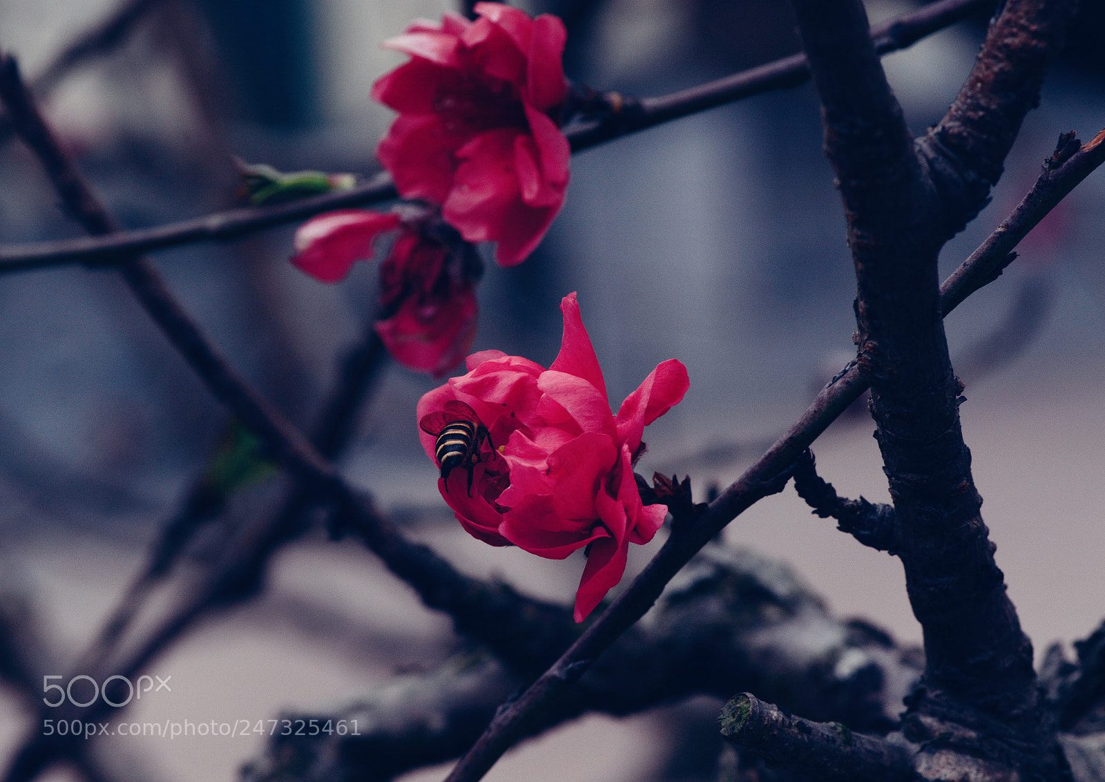 Nikon D7100 sample photo. Untitled photography