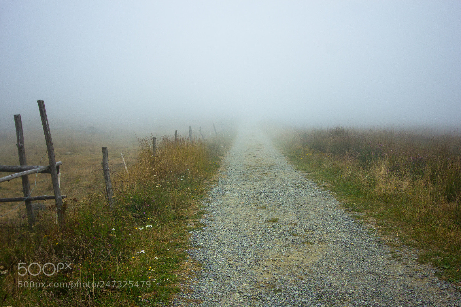 Canon EOS 60D sample photo. Campi nella nebbia photography