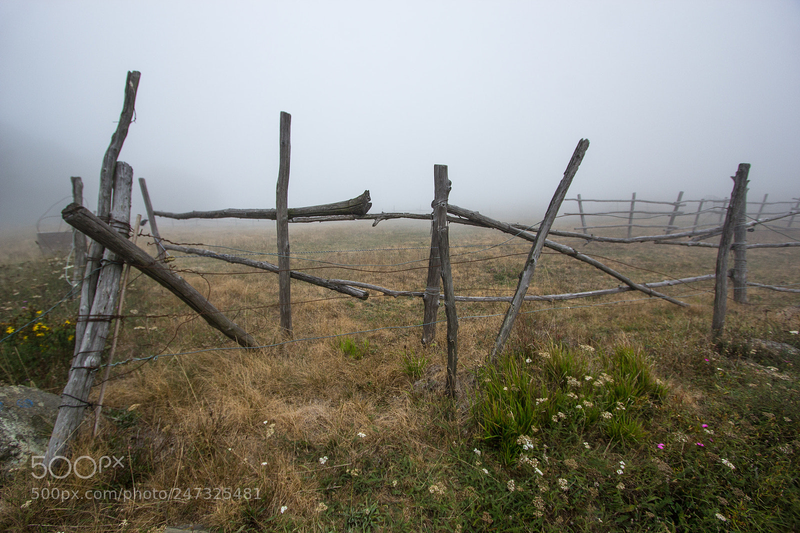 Canon EOS 60D sample photo. Campi nella nebbia photography