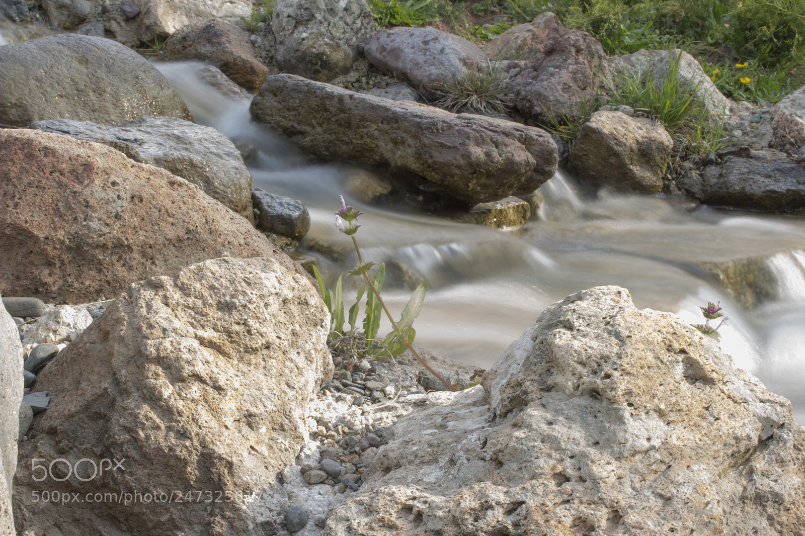 Canon EOS 650D (EOS Rebel T4i / EOS Kiss X6i) sample photo. Tiny river photography