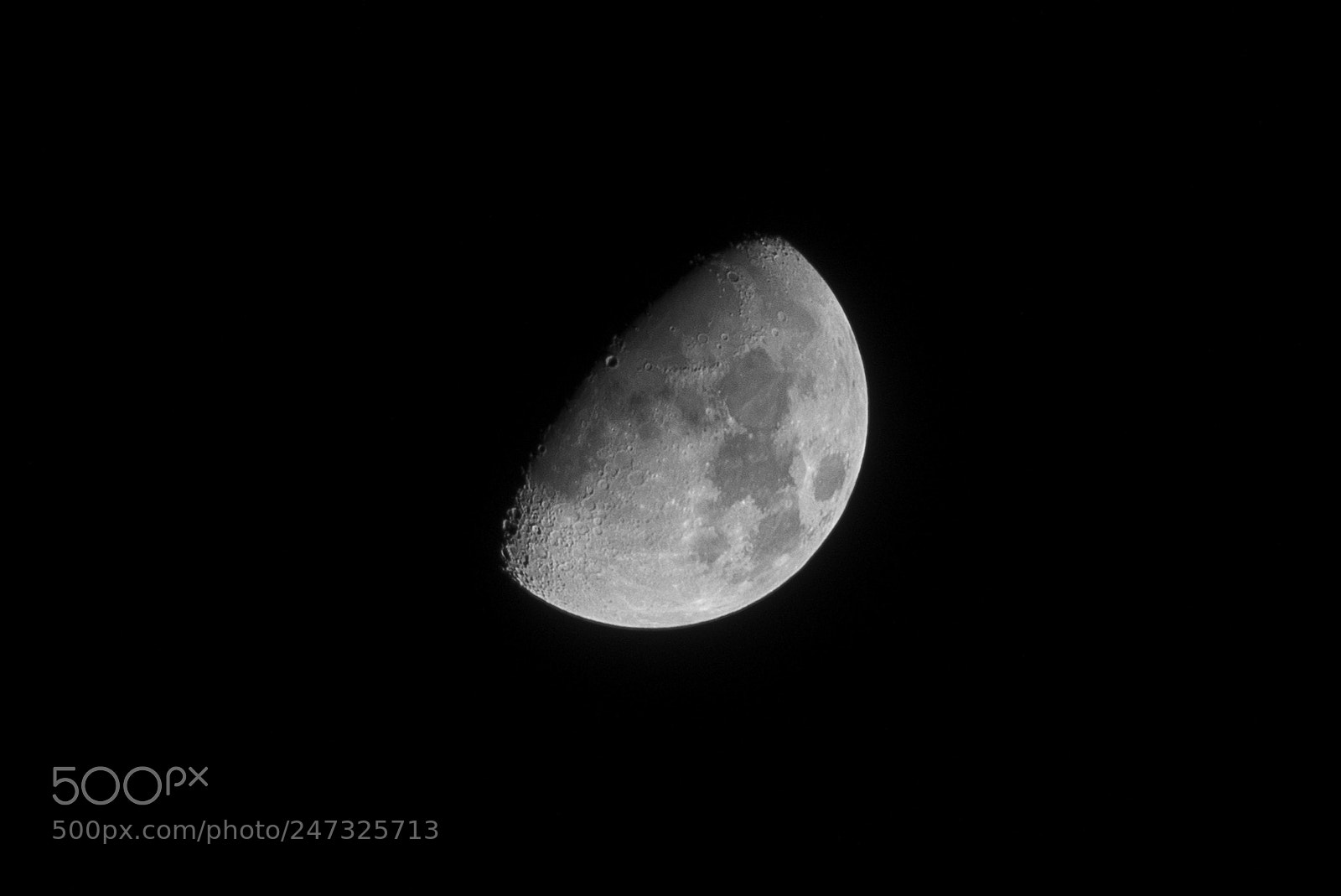 Nikon D3400 sample photo. Half moon photography