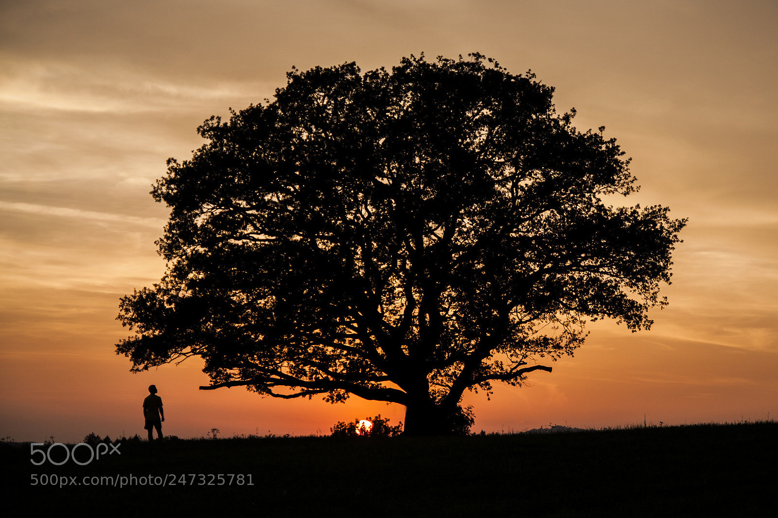 Canon EOS 50D sample photo. Man standing by sunset photography