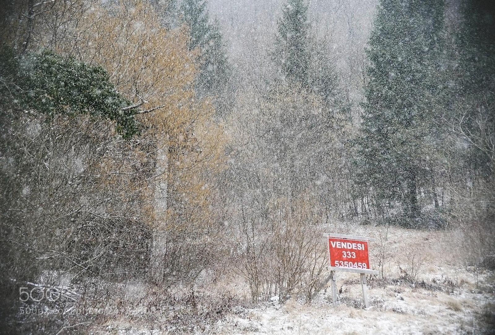 Canon EOS 5D sample photo. Landscape for sale photography