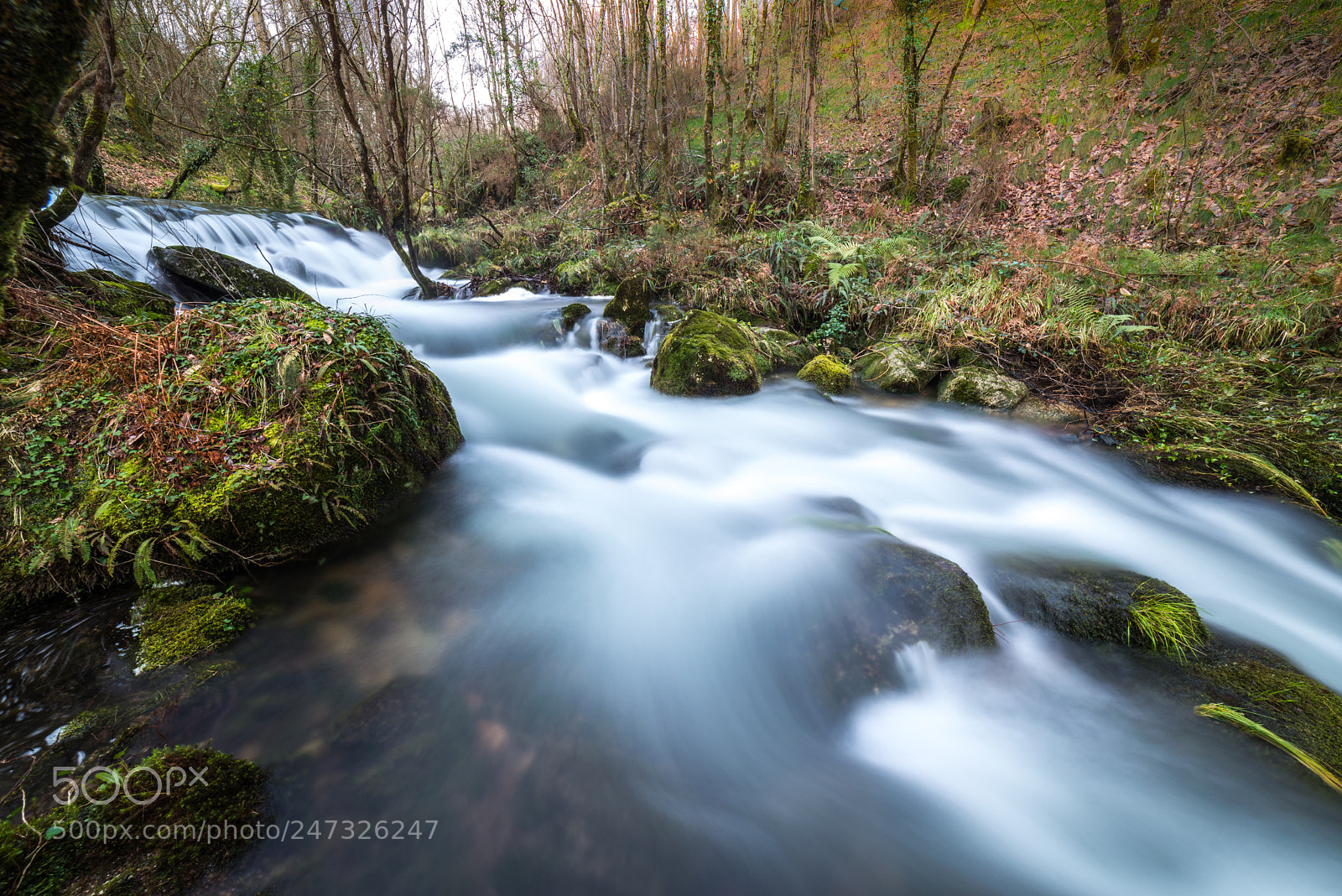Nikon D610 sample photo. Río sesín photography