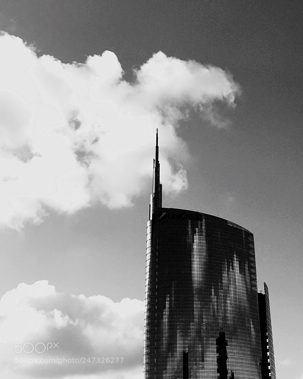 Apple iPhone 6 sample photo. Untitled photography