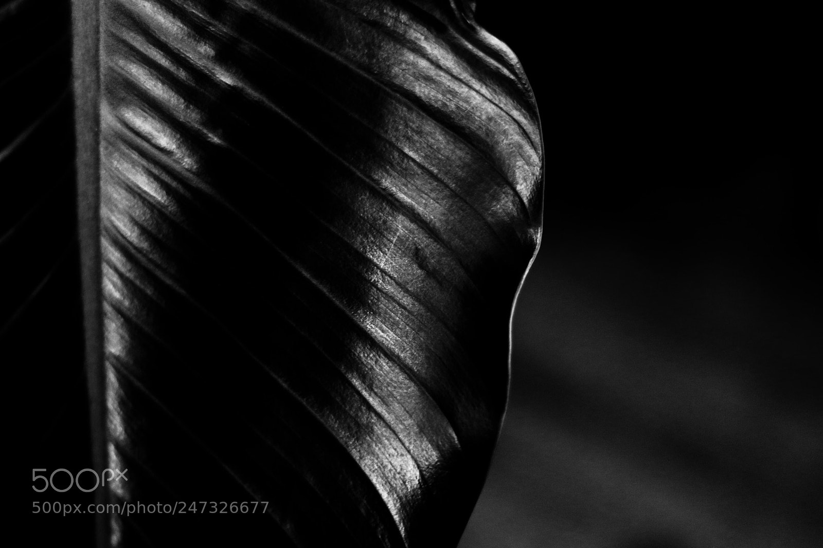 Canon EOS 80D sample photo. Shadow photography