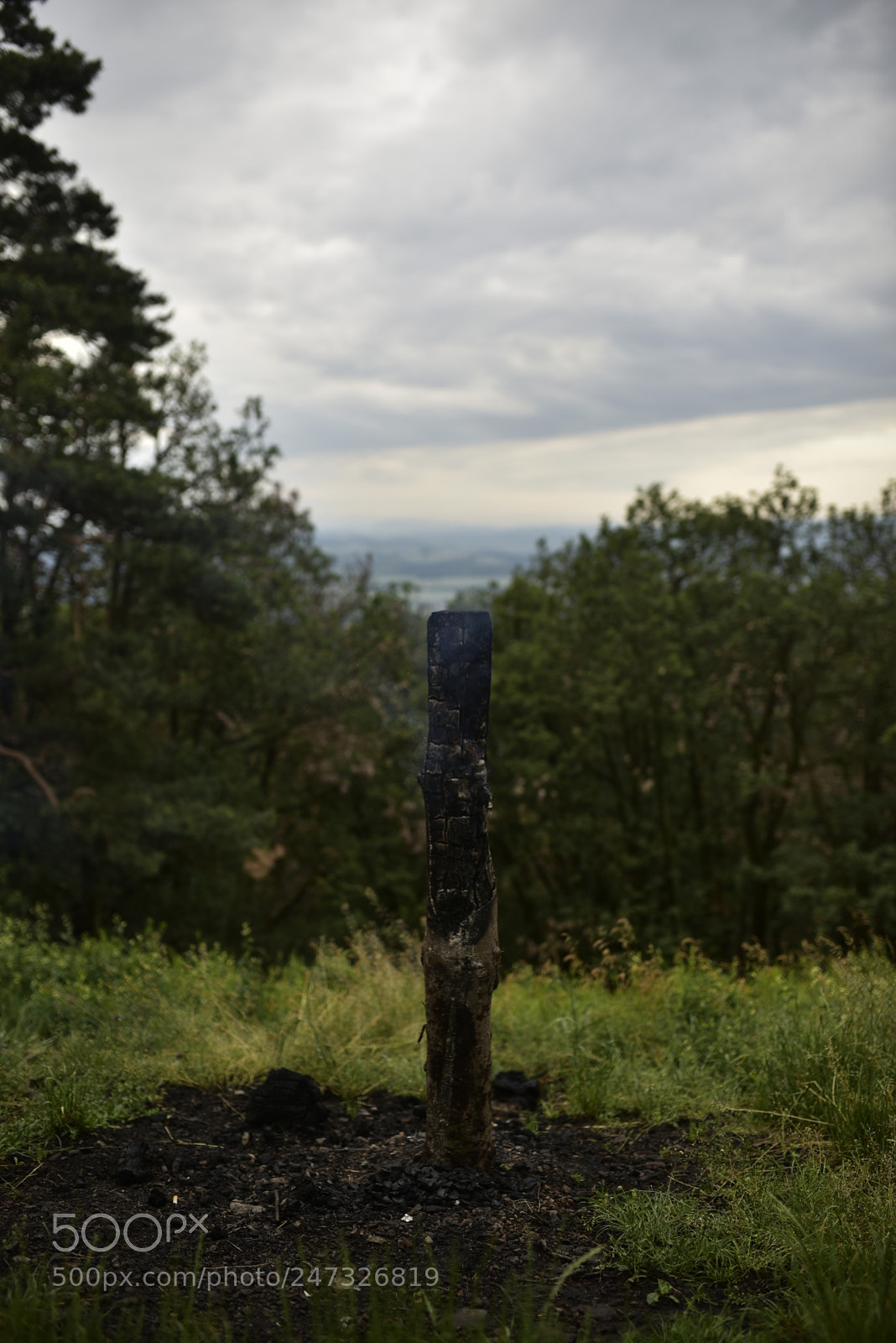 Nikon D750 + Sigma 35mm F1.4 DG HSM Art sample photo. Dsc photography