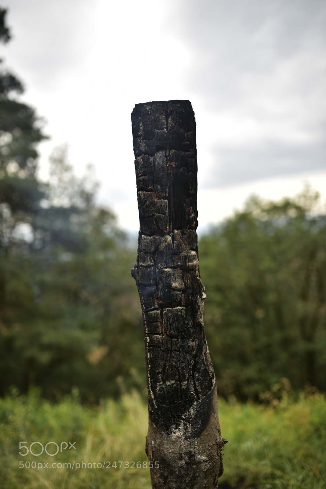 Nikon D750 + Sigma 35mm F1.4 DG HSM Art sample photo. Dsc photography