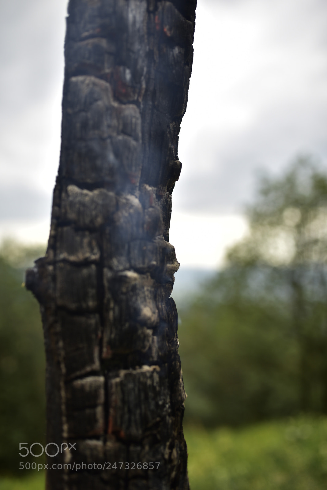 Nikon D750 + Sigma 35mm F1.4 DG HSM Art sample photo. Dsc photography