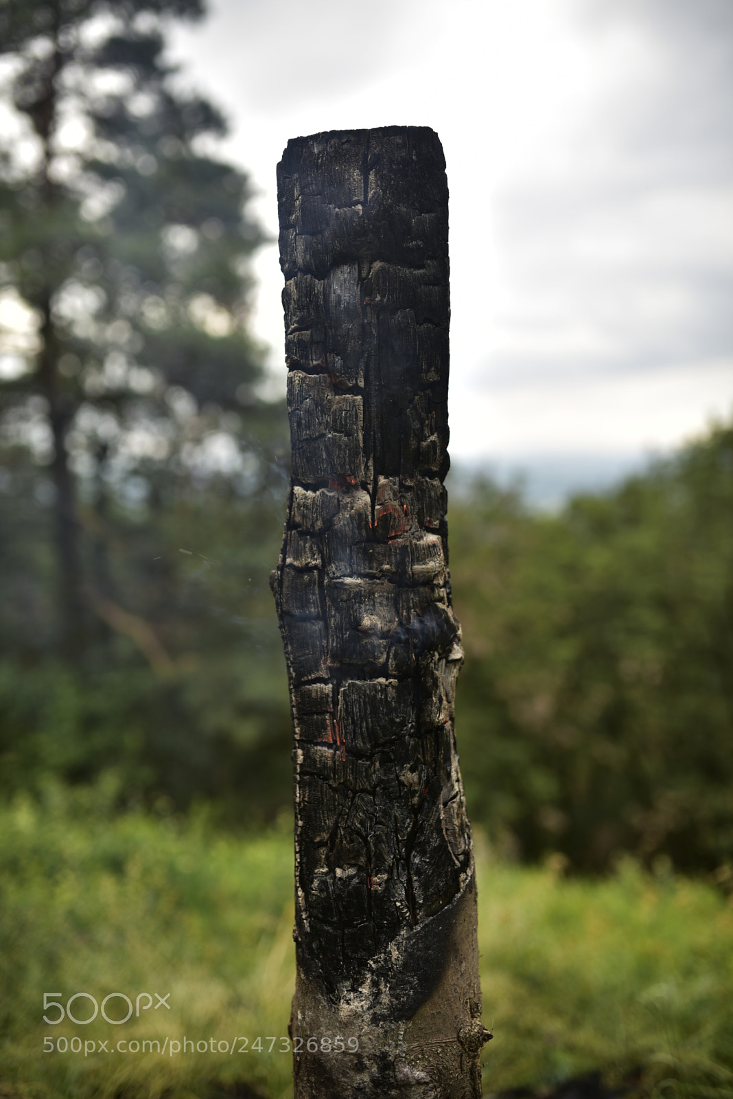 Nikon D750 + Sigma 35mm F1.4 DG HSM Art sample photo. Dsc photography
