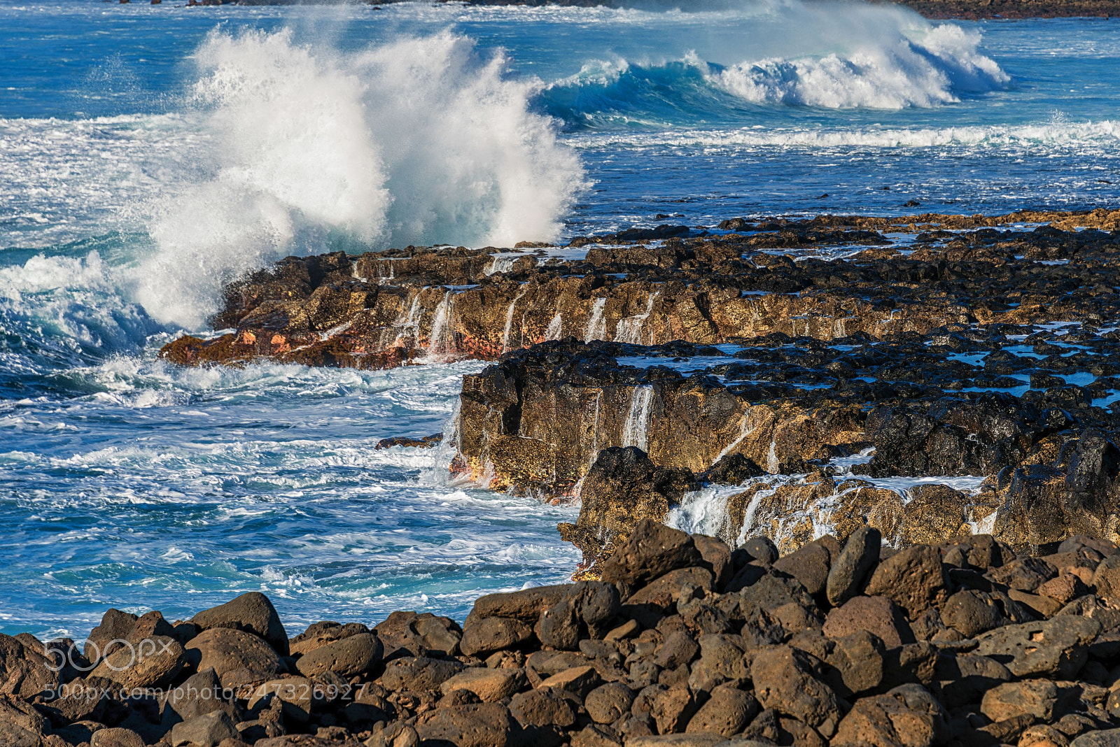 Nikon D800 sample photo. The wild part of photography