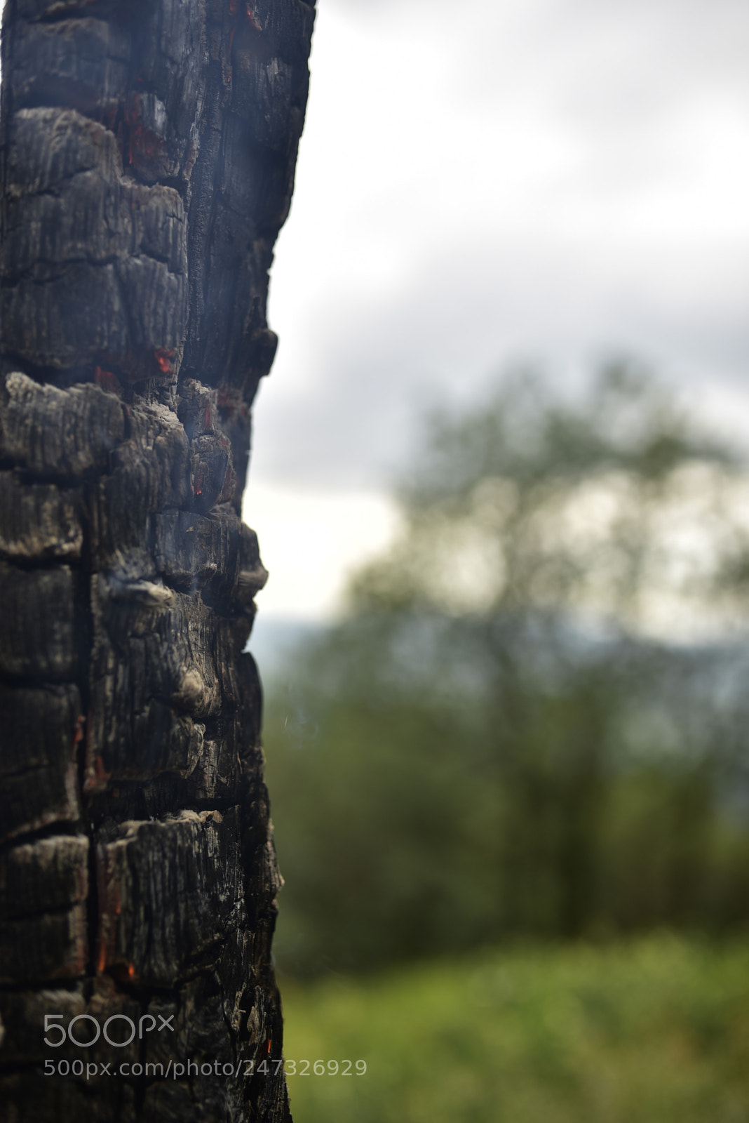 Nikon D750 + Sigma 35mm F1.4 DG HSM Art sample photo. Dsc photography