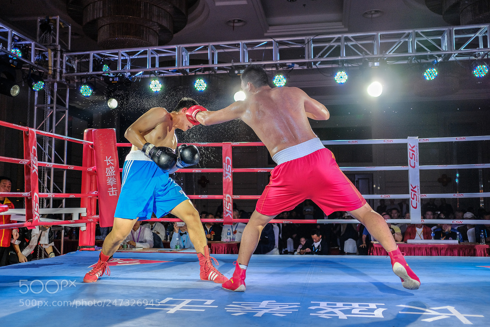 Fujifilm X-Pro2 sample photo. Close call photography