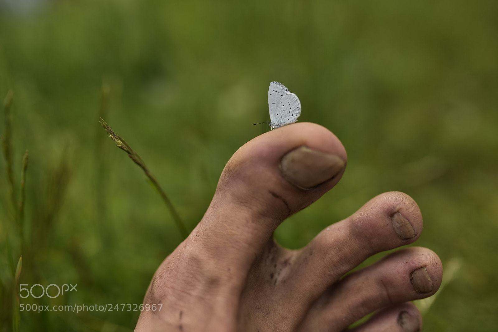 Nikon D750 + Sigma 35mm F1.4 DG HSM Art sample photo. Dsc photography